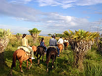 foto ibera spirit
